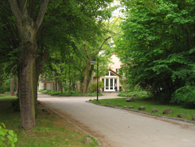 Studieren im Grünen